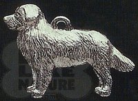 83005