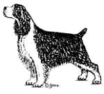 60106