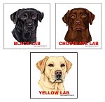 Dog Breed Magnets